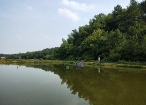 醴陵佳平钓场天气预报