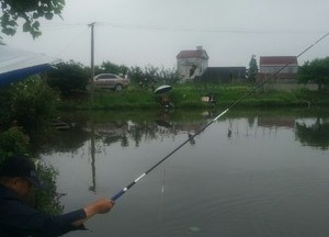 彭市钓鱼休闲中心天气预报