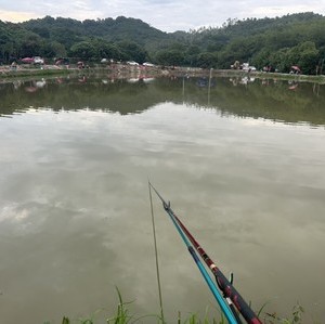 南区大森林钓场