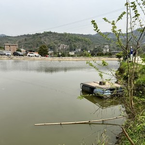 大满贯生态垂钓基地