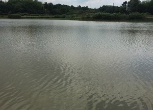 野钓芦苇河天气预报