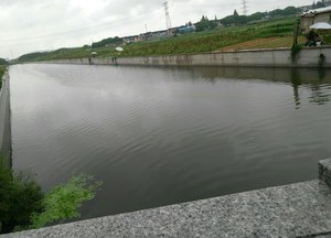 丰田河天气预报
