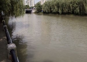 北塘河天气预报