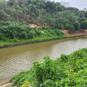 张总四河天气预报