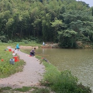 新宇鱼场天气预报