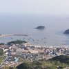 野钓大江南北h