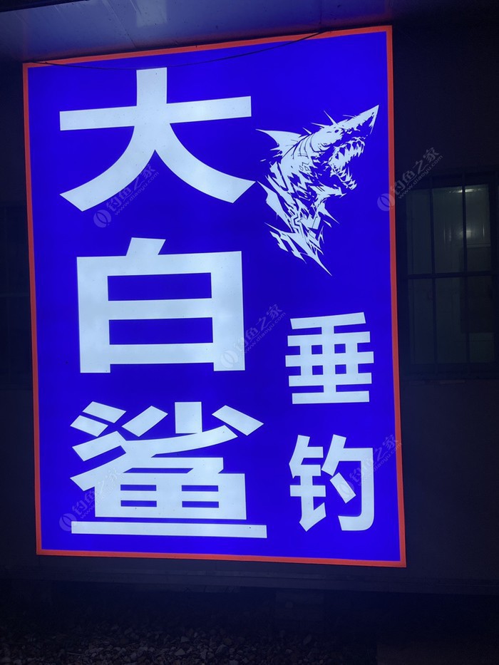 大白鲨青鱼池