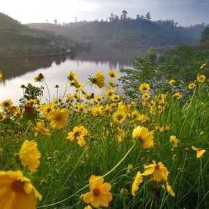 花漫水乡月亮湖