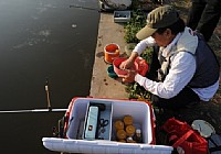 不同鱼情不同季节使用钓鱼小药的技巧