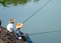 神釣俠侶釣獲大草魚