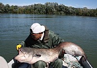 《钓鱼视频》西班牙埃布罗河钓大鲶鱼视频