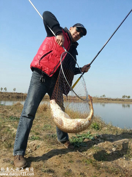 黄河钓鲤鱼