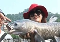 《江湖行钓鱼视频》112 徐银舟台湾钓大青鱼(一)