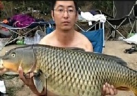 《鱼资渔味》20141219 大鱼传奇钓获31.68斤鲤鱼