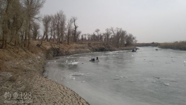 在新疆塔里木河玩冰钓那叫一个爽