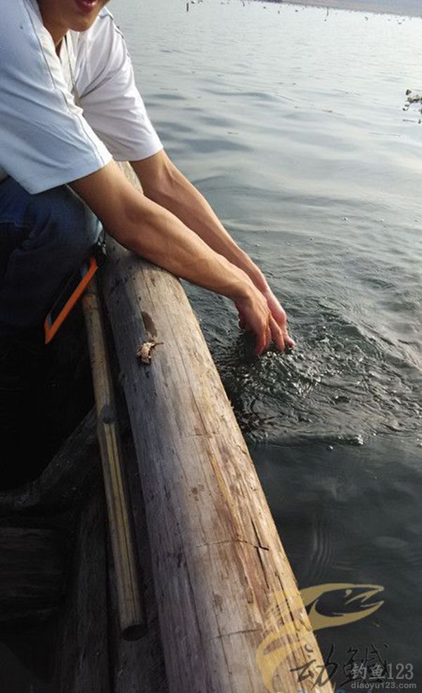 马銮湾钓鱼图片