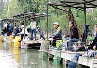 地方性钓鱼比赛的趣味规则方案