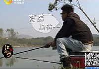 《江湖行钓鱼视频》66 库战草鱼
