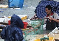 贵州贵阳降暴雨水产市场损失严重大鱼小鱼满街游