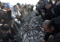 2012吉林查干湖冬季捕鱼盛况