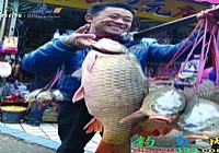 漁民扁擔(dān)挑著大鯉魚沿街售賣