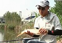 《垂釣對象魚視頻》王超主講黑坑魚塘垂釣鯉魚視頻