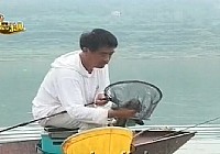 《程宁钓鱼视频》第118集 如何为抄网中的鱼摘钩