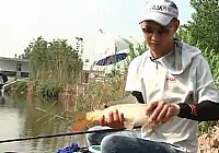 《其他名人钓鱼视频》王超黑坑钓鲤鱼