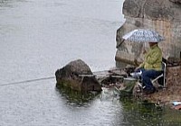 雨天如何釣魚及技巧分析